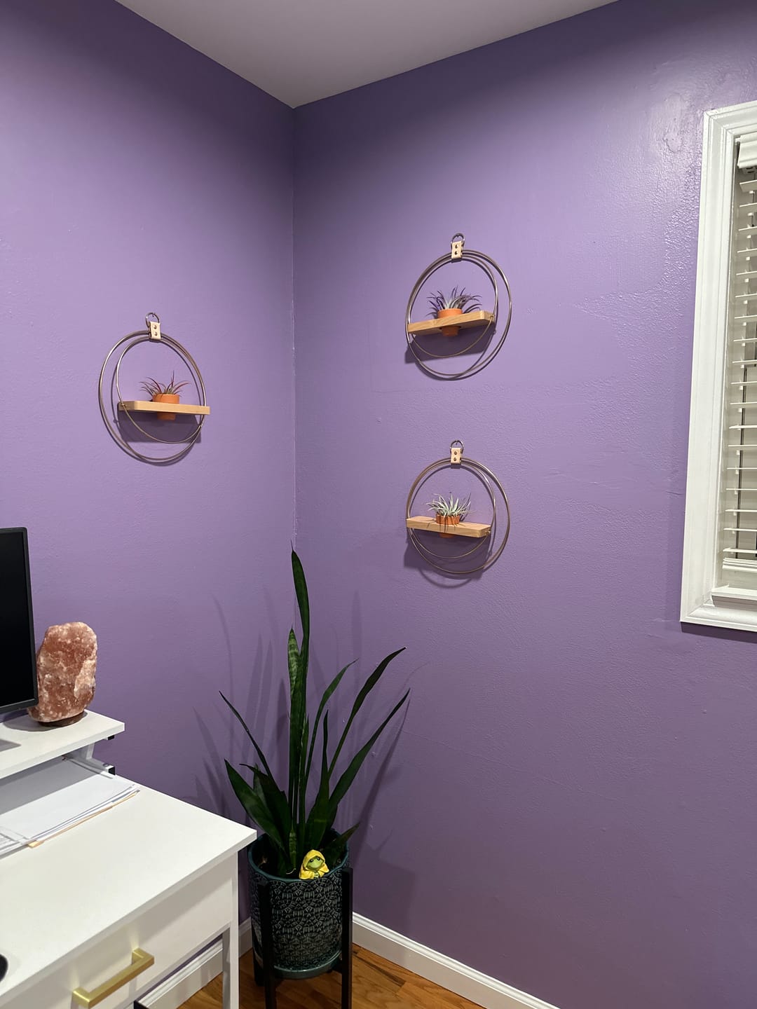 Customer photo review of Air Plant Shelf + Pot Trio