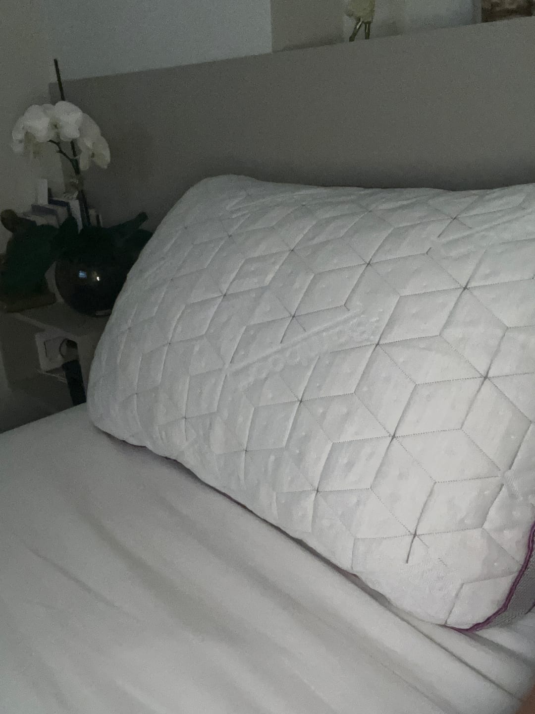 Customer photo review of Kit com 2 Travesseiros IWS Snow®