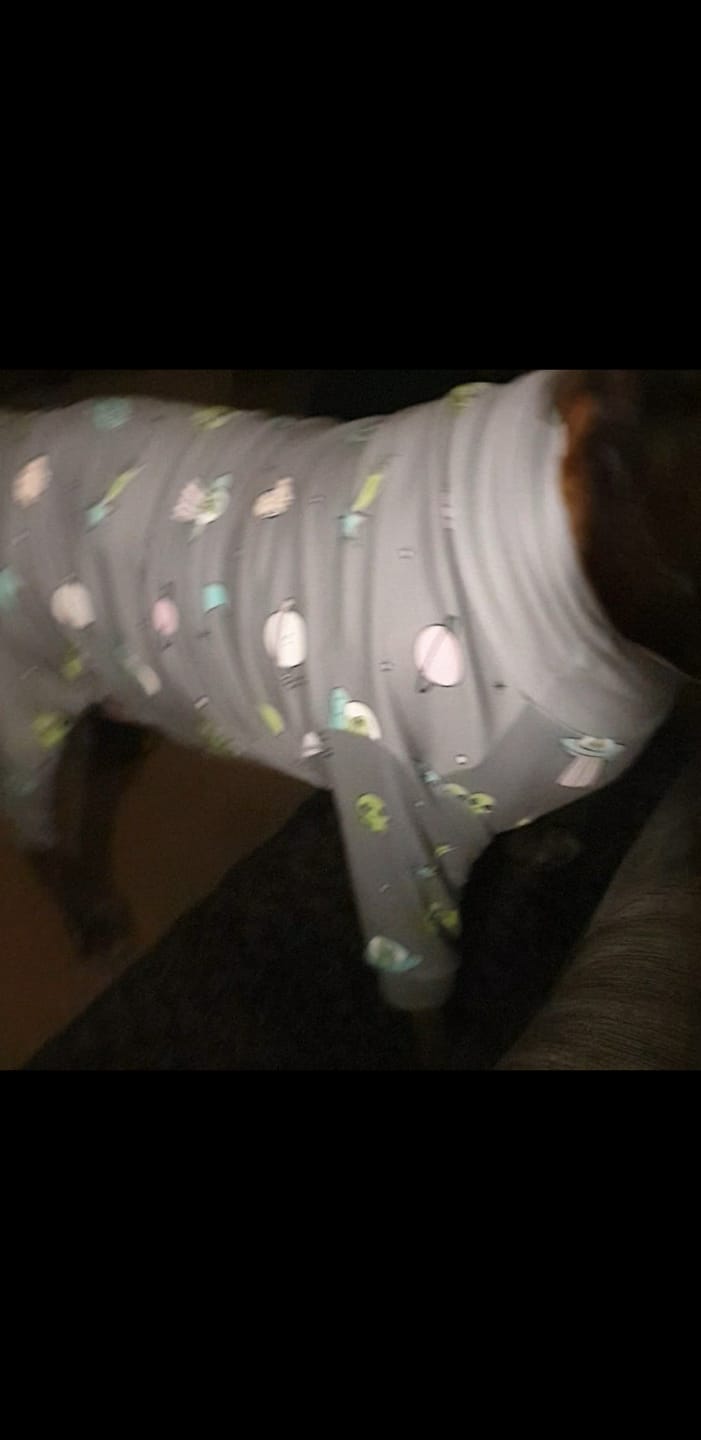 Customer photo review of Dog Pajama - Alien