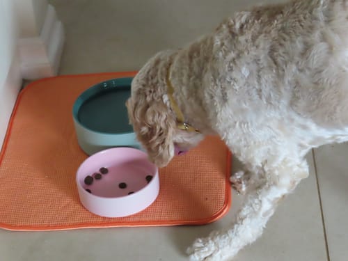 Customer photo review of Dish Drying Mat