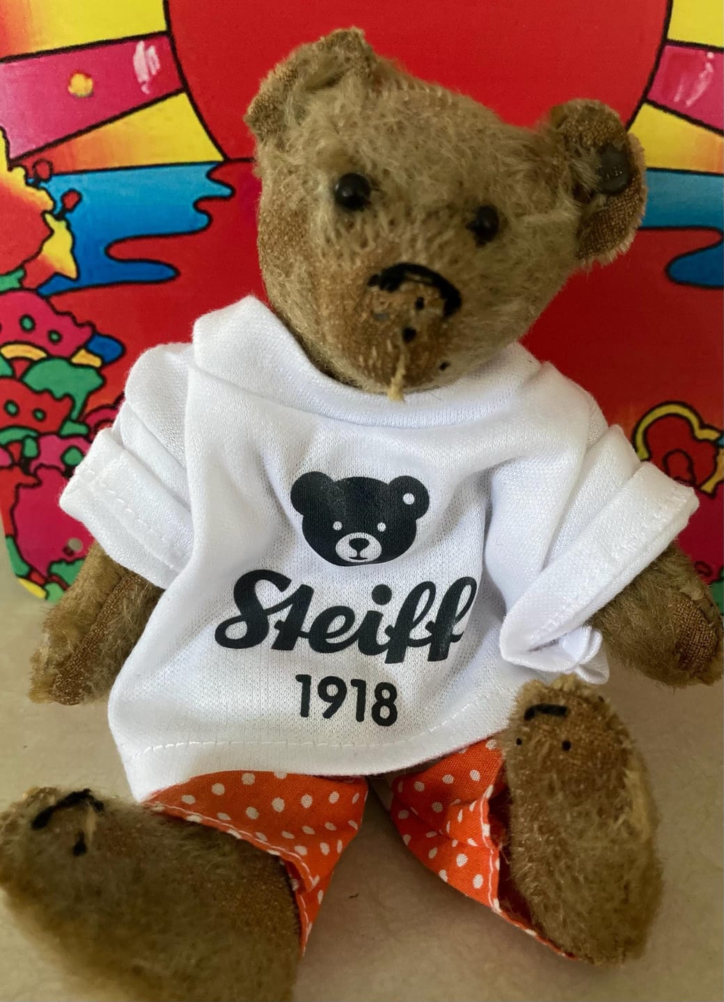Customer photo review of CUSTOM Stuffed Animal T-SHIRT, Fits 8 Inch Stuffed Animals, Plushie Clothing, Personalized Photo and Text Shirt