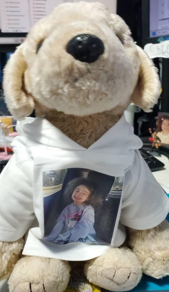 Customer photo review of CUSTOM Plushie HOODIE | Fits BAB and 14 to 16 Inch Stuffed Animals | Teddy Bear Outfit | Plushie Clothing