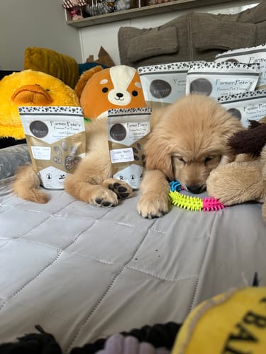 Customer photo review of Lamb Liver