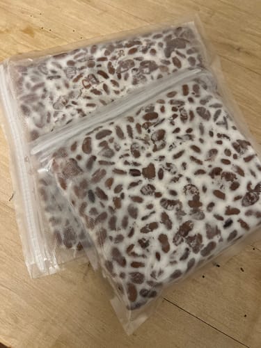 Customer photo review of BIO Tempeh-Revolution: Starter-Kultur für Heimfermentation