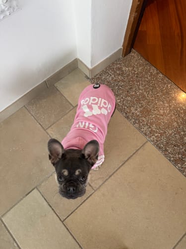 Customer photo review of Felpa "Adidog" Rosa Personalizzabile con nome