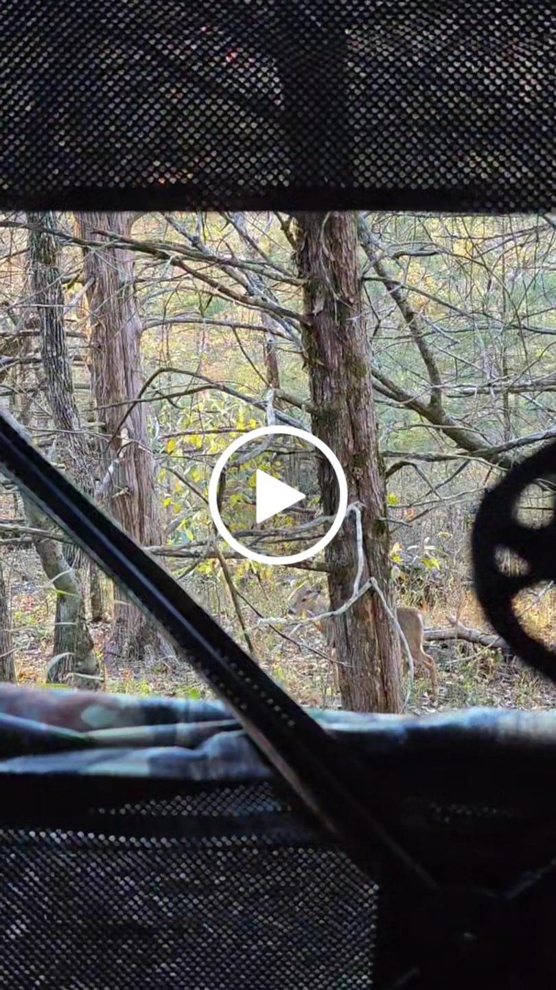 Customer video review of Vis Series See Through Hunting Blind, Pop Up Ground Deer Blind