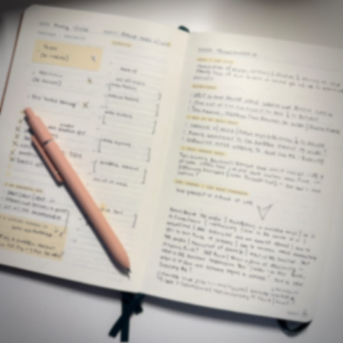 Customer photo review of Monk Manual™ 90-Day Planner