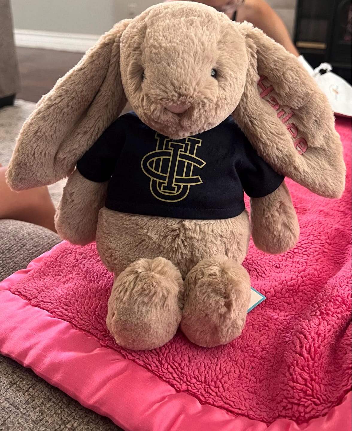 Customer photo review of CUSTOM Stuffed Animal T-SHIRT, Fits 8 Inch Stuffed Animals, Plushie Clothing, Personalized Photo and Text Shirt