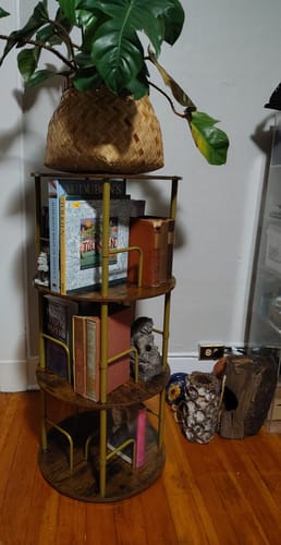 Customer photo review of Flycity 3-5 Tier Rotating Bookshelf With 360° Spinning Display