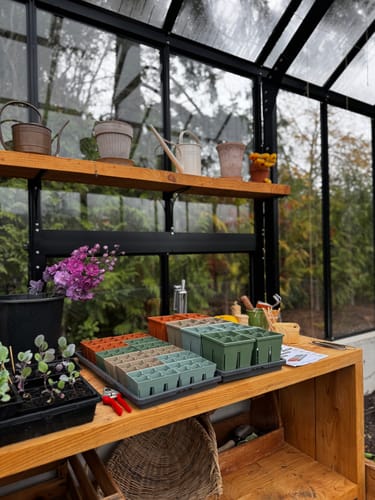 Customer photo review of Seed Starting Kit