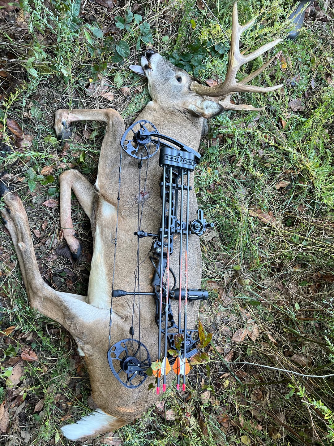 Customer photo review of Arrowhead -3 Blade