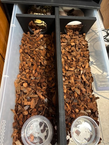Customer photo review of Tub Dividers