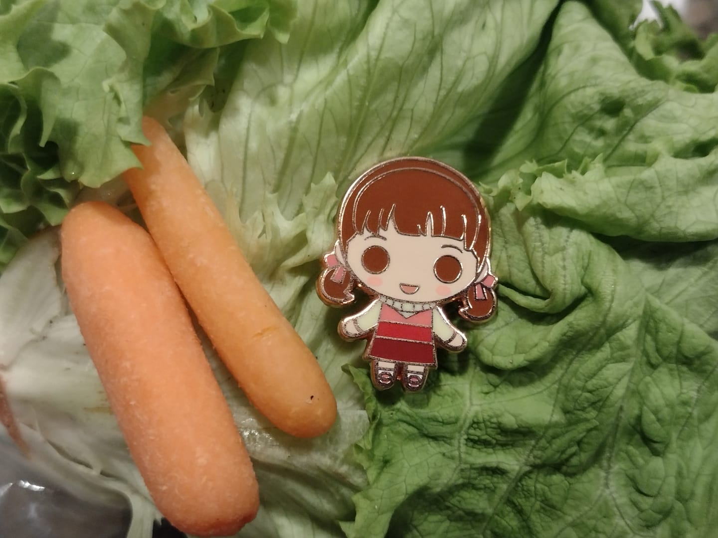 Customer photo review of Persona 4 Golden - Nanako Dojima Collector's Pin