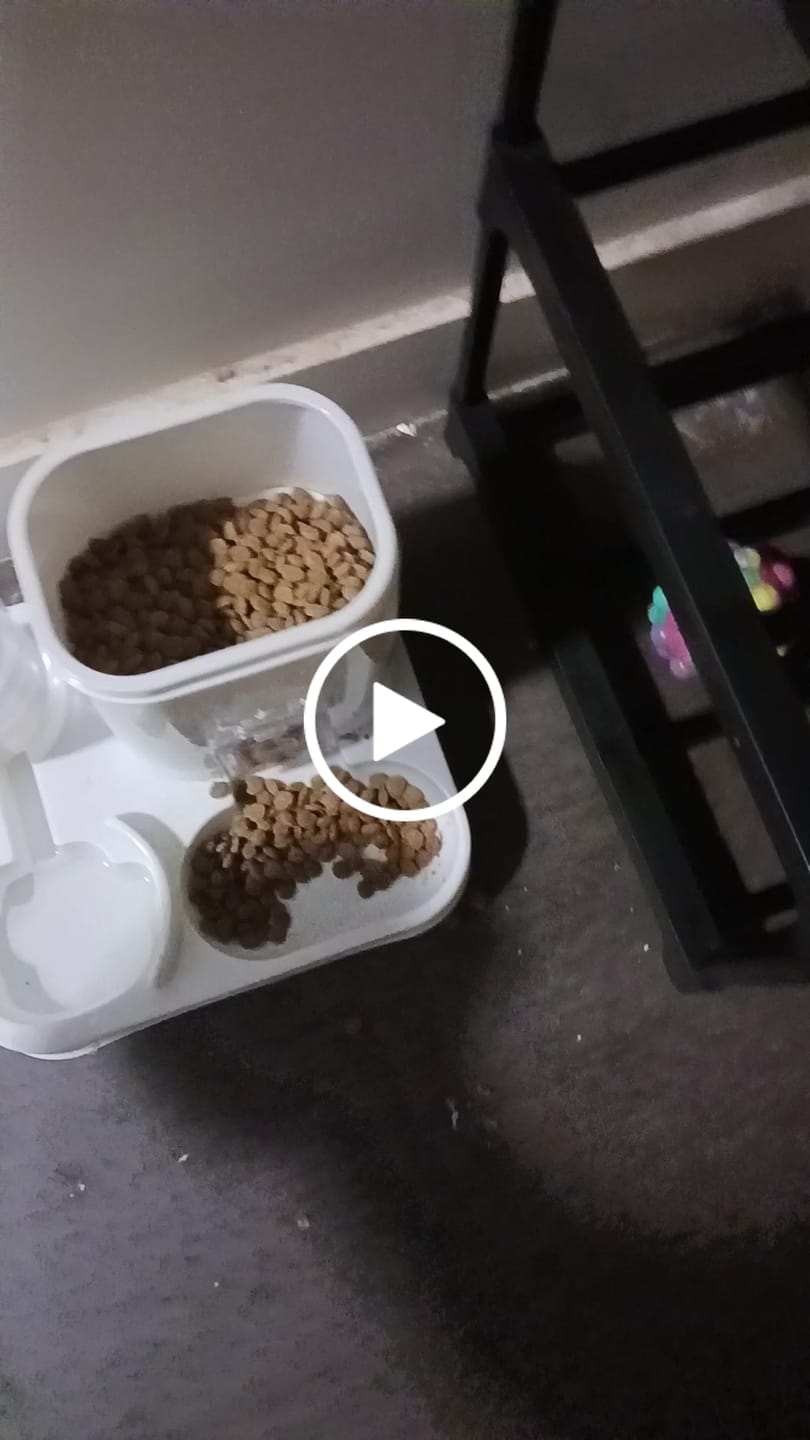 Customer video review of Farmed Insects formulas / Adult & Puppy