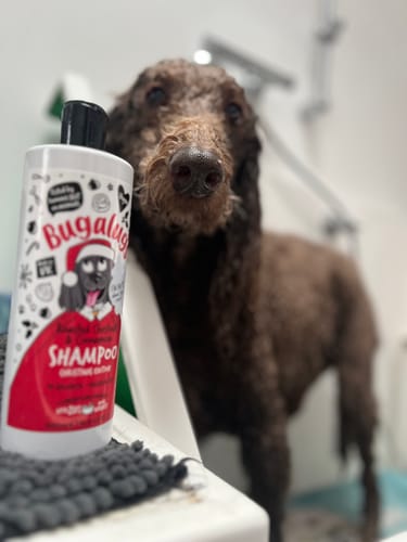 Customer photo review of Christmas Edition: Roasted Chestnut & Cinnamon Shampoo