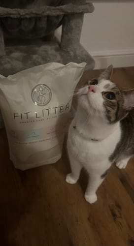 Customer photo review of 1 Month Supply – 2 Cat
