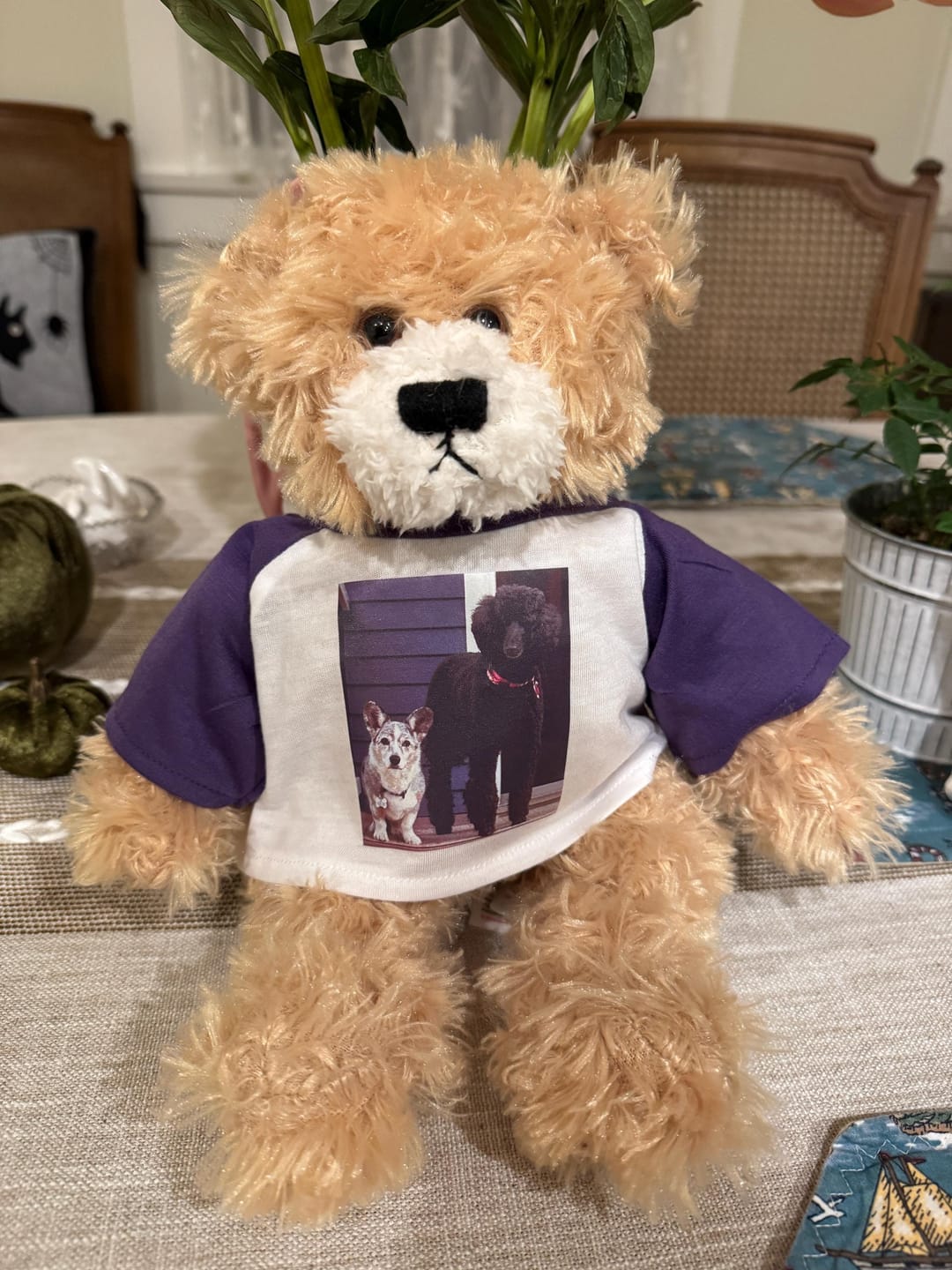 Customer photo review of CUSTOM Plushie T-SHIRT, Fits 16-inch Stuffed Animals, Plushie Clothing, Personalized Photo and Text Shirt