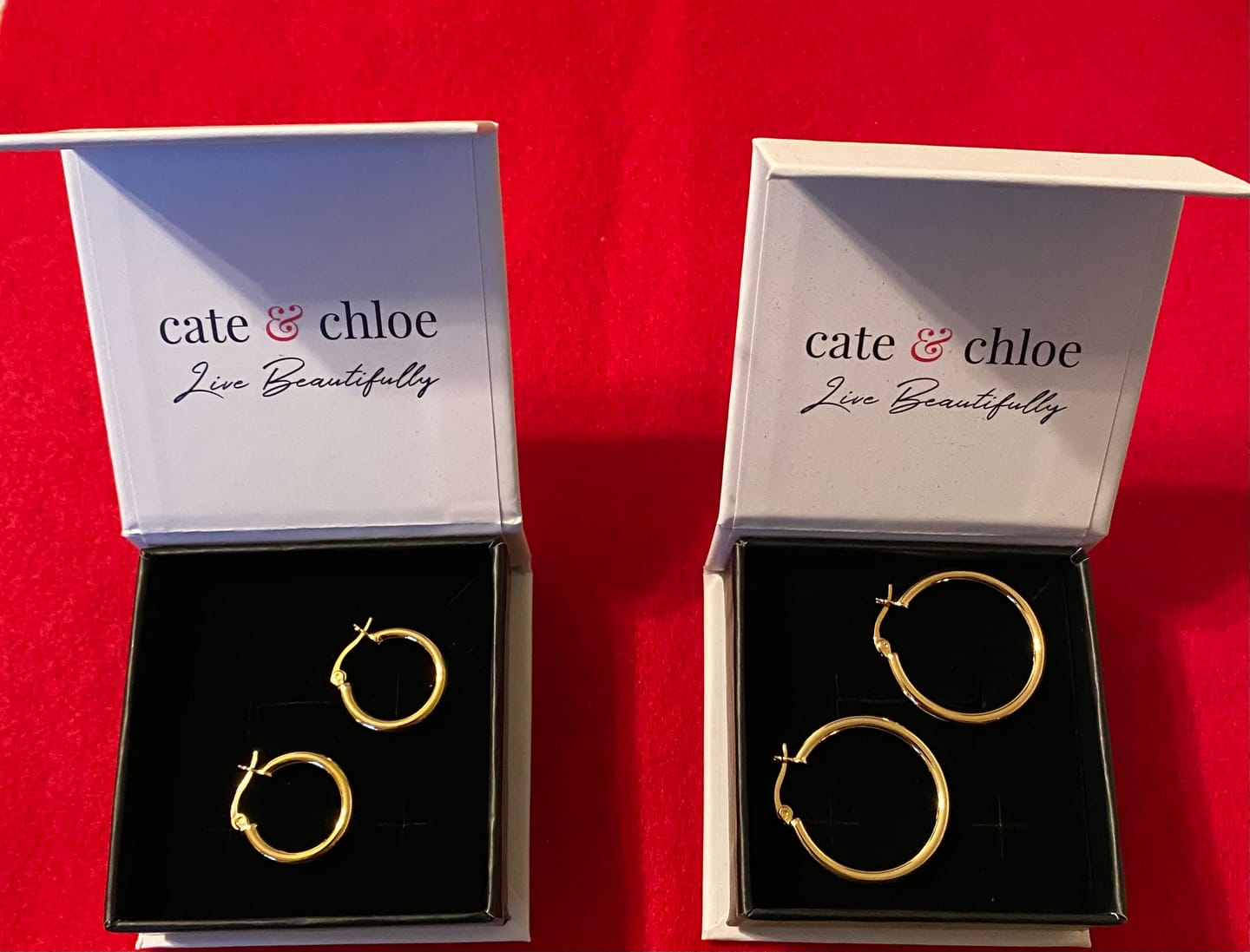 Customer photo review of Amy 18k White Gold Plated 20mm/30mm Hoop Earrings