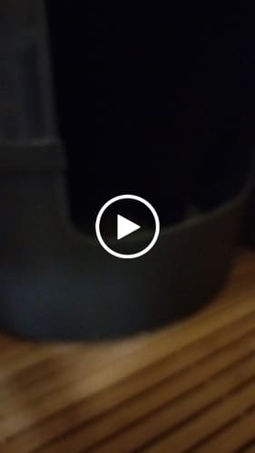 Customer video review of 1 Month Supply – 1 Cat