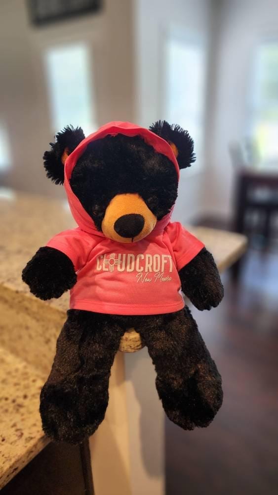 Customer photo review of CUSTOM Plushie HOODIE | Fits BAB and 14 to 16 Inch Stuffed Animals | Teddy Bear Outfit | Plushie Clothing