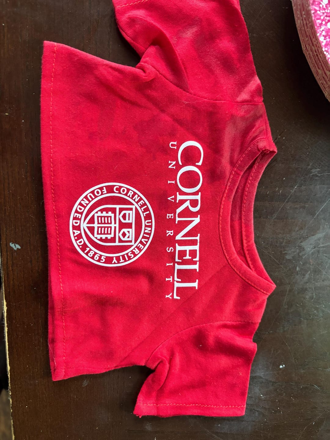 Customer photo review of CUSTOM Plushie T-SHIRT, Fits 16-inch Stuffed Animals, Plushie Clothing, Personalized Photo and Text Shirt