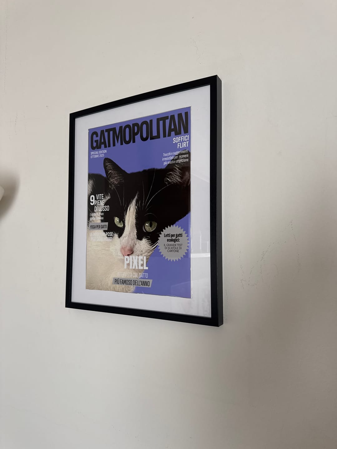 Customer photo review of Gatmopolitan - Poster personalizzato