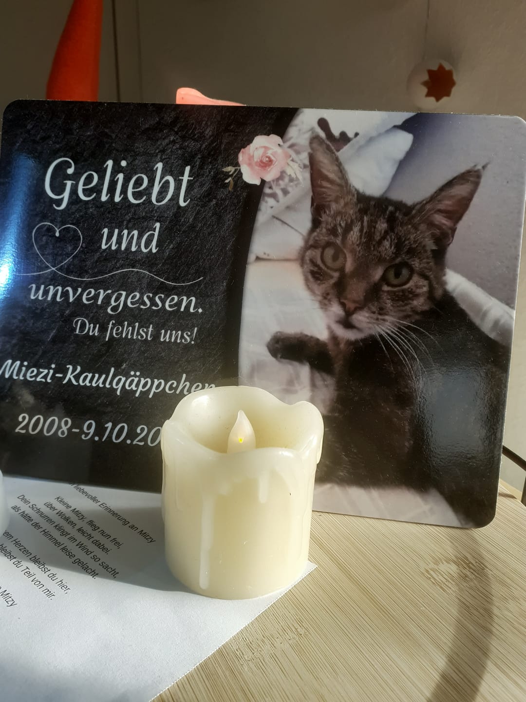 Customer photo review of Katzen Gedenktafel mit Foto & Spruch (UV- & Wetterfest)