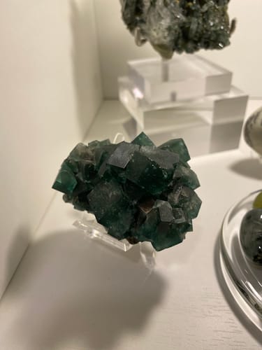Customer photo review of Diana Maria Fluorite Greedy Hog Pocket 169 Grams