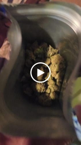 Customer video review of Gorilla Glue - 28 Grams (Hybrid)