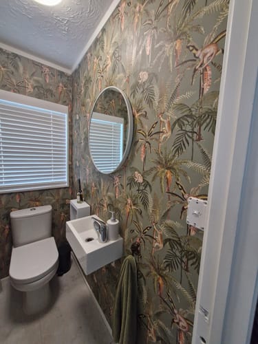 Customer photo review of Ateles Spider Monkey Wallpaper - Sage
