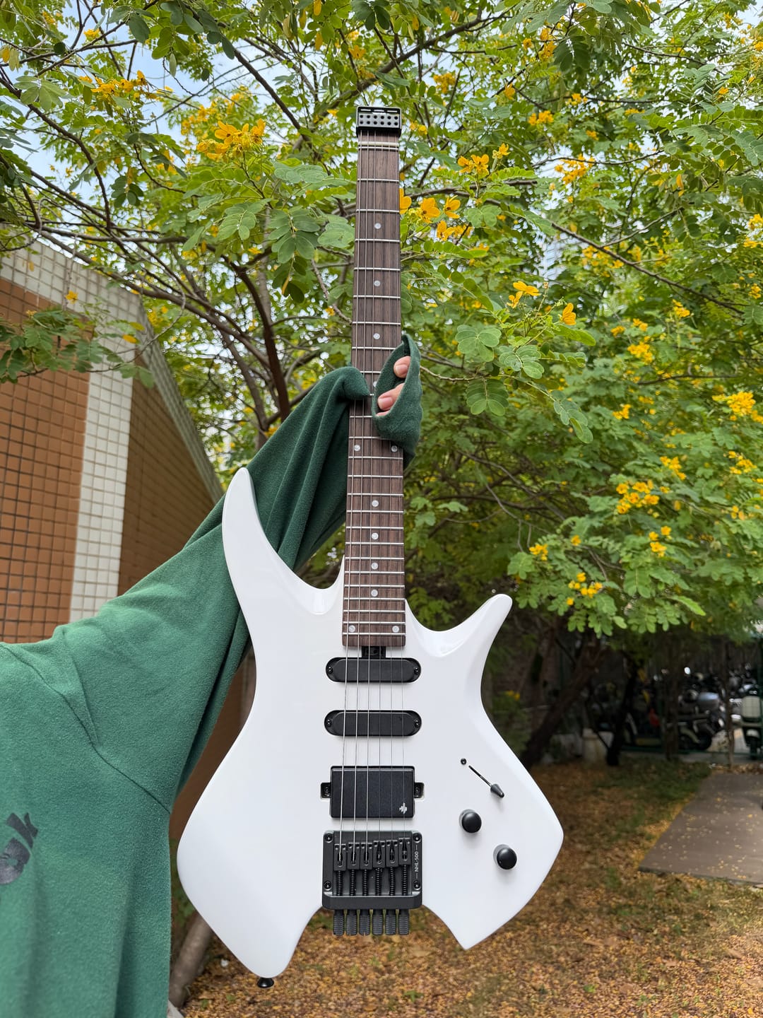 Customer photo review of Donner NHL-500 Guitare Électrique Moderne Sans Tête
