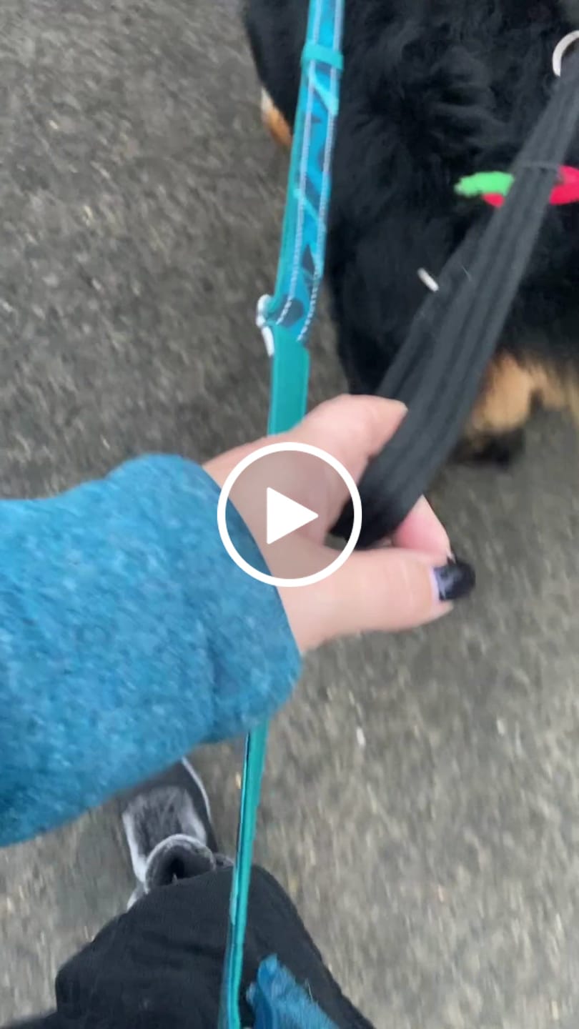 Customer video review of Multi-Way Lead