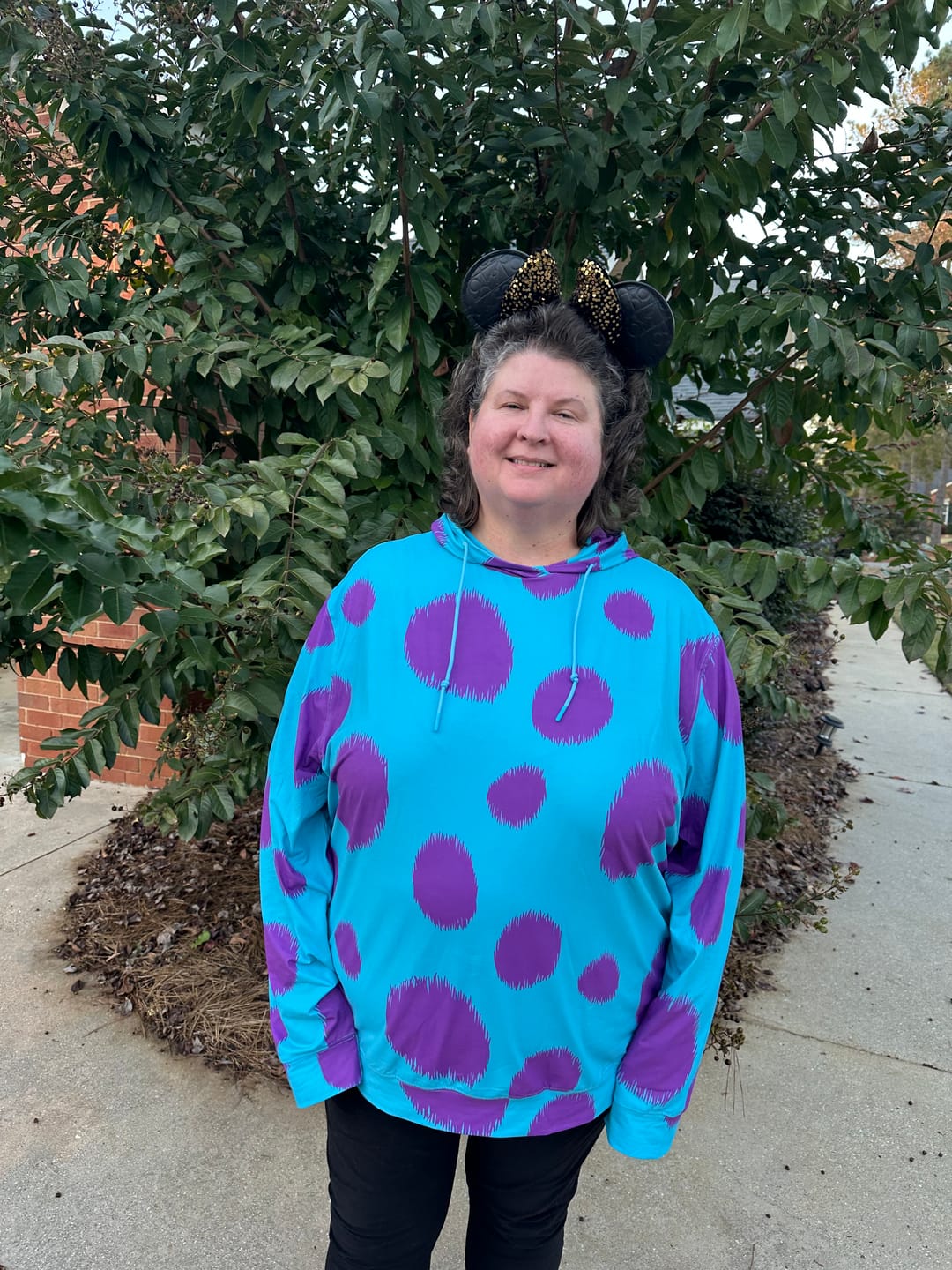 Customer photo review of Disney and Pixar Monsters, Inc. "Sulley" – Performance Hoodie