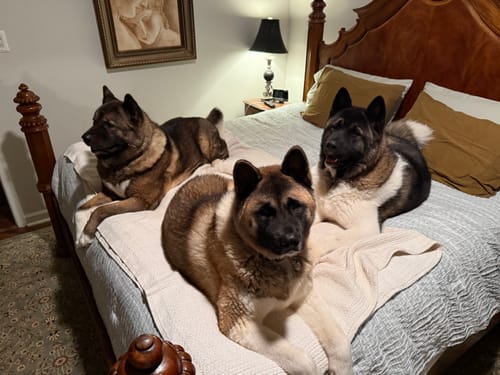 Customer photo review of DA-1™ Daily All-in-One Complete Care