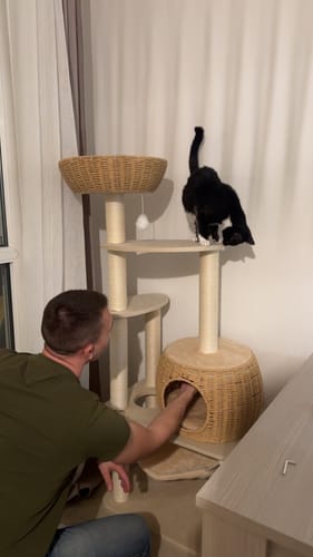 Customer photo review of Arbre à Chat - Coin Câlin