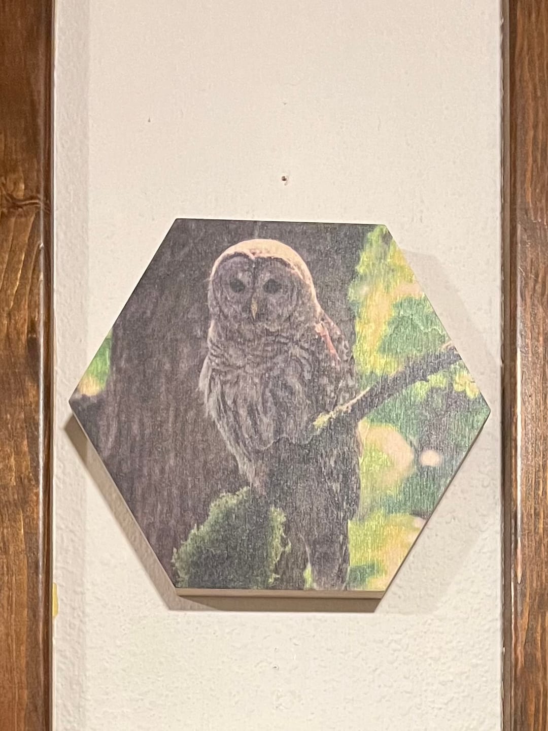 Customer photo review of Birch Vintage Matte Shaped Wood Print