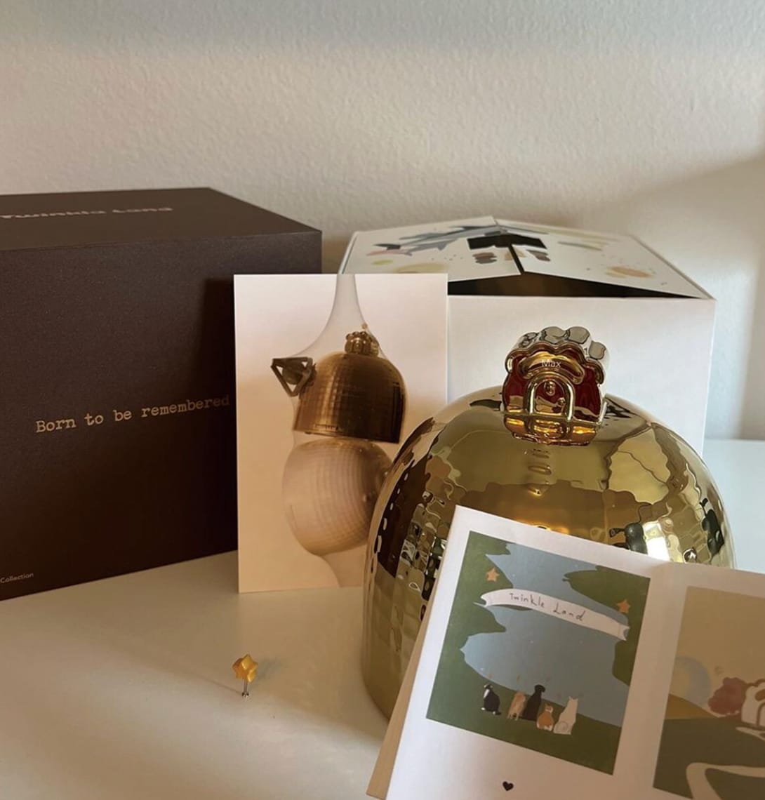 Customer photo review of Near the Meteor Gold Pet Urn
