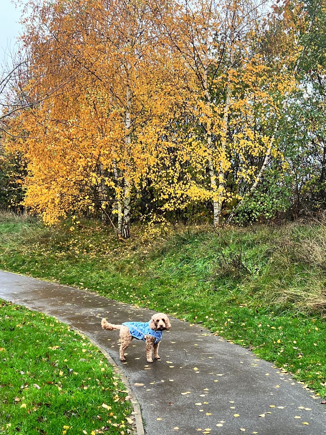 Customer photo review of Rain Jacket - Two For Joy