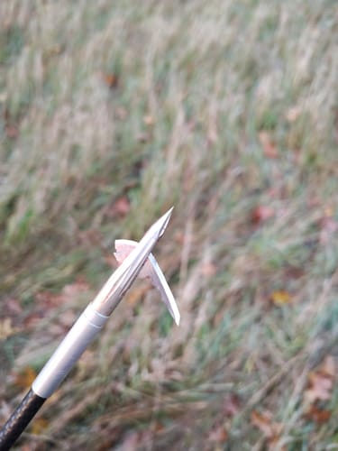 Customer photo review of Aluminum Broadheads