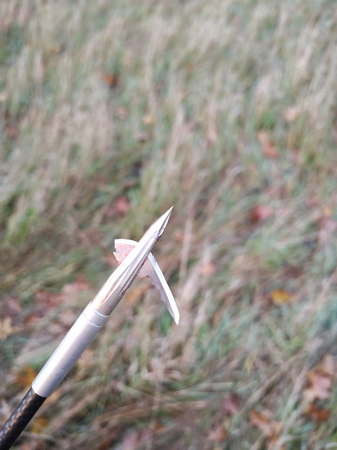 Customer photo review of Aluminum Broadheads