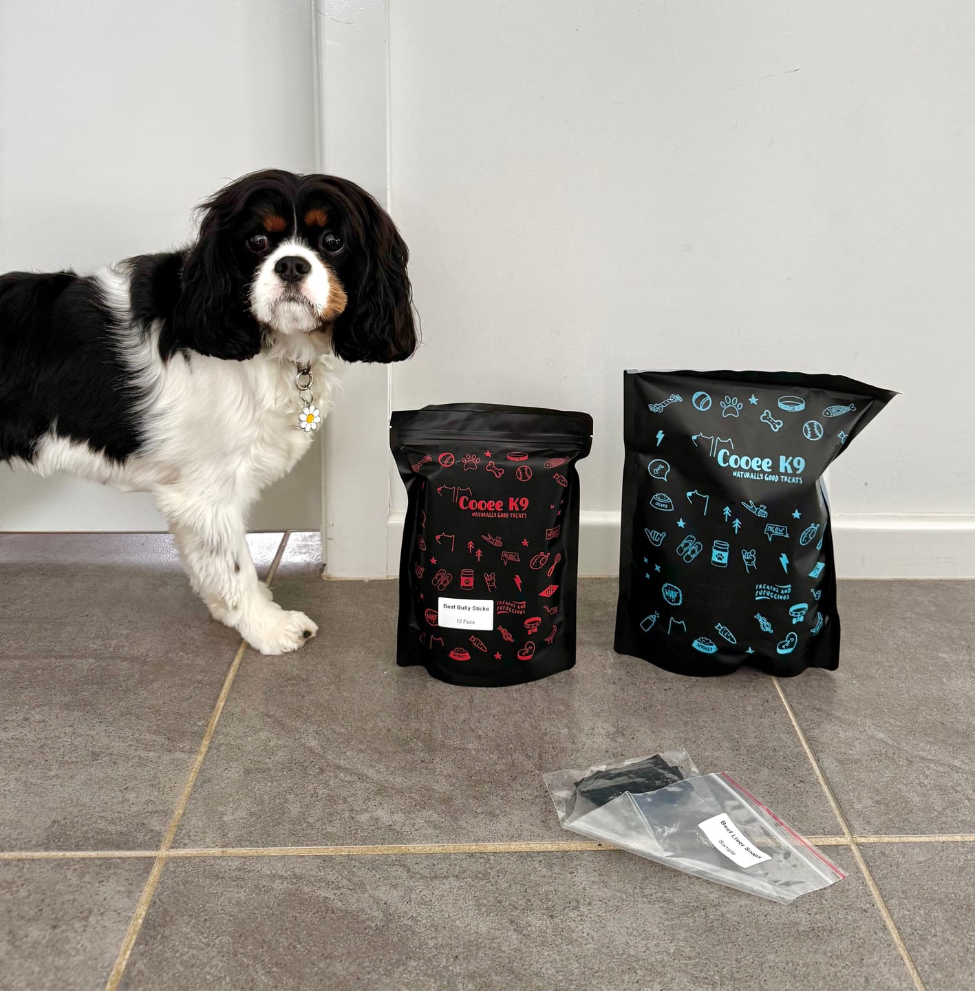 Customer photo review of Australian Beef Bully Sticks 8"