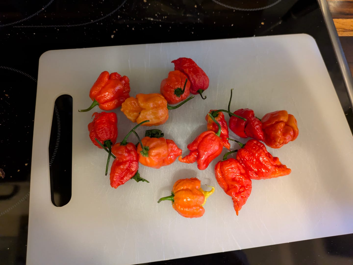 Customer photo review of Frische Carolina Reaper, 100g