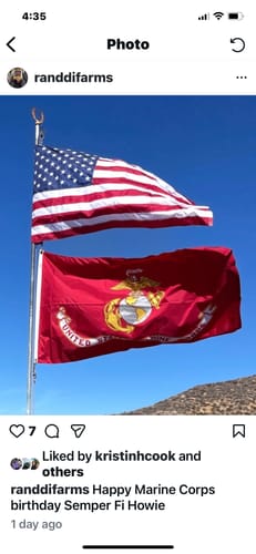 Customer photo review of 3' x 5' American Flag