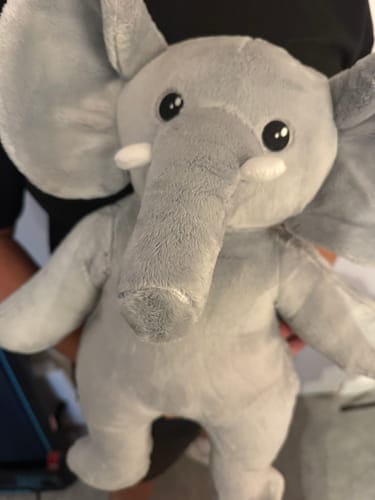 Fotorecensie van een klant over Olifant – Verzwaringsknuffel
