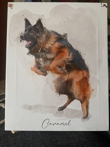 Customer photo review of Πορτραίτο Κατοικίδιου - Νερομπογιά