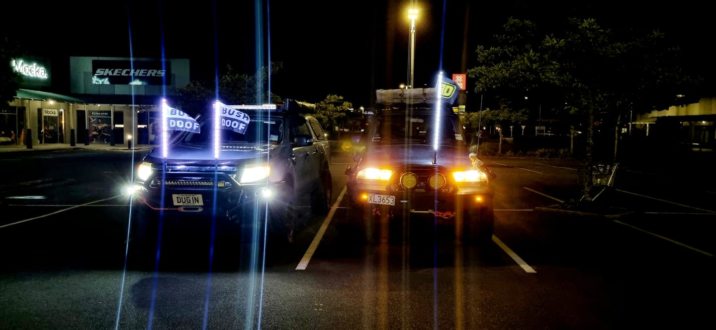 Customer photo review of 3ft LED Whip Lights