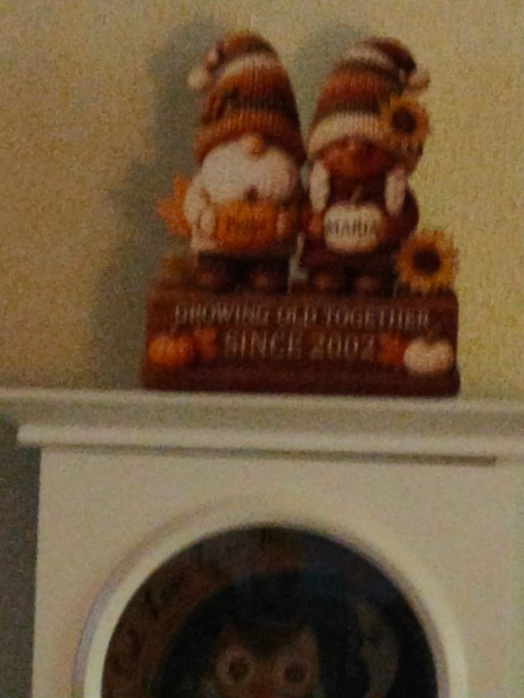 Customer photo review of Personalized "Growing Old Together" Gnome Plaque With Couple Names & Sunflowers Pumpkins Autumn's Warm Charm For Couple Gift For Grandparent