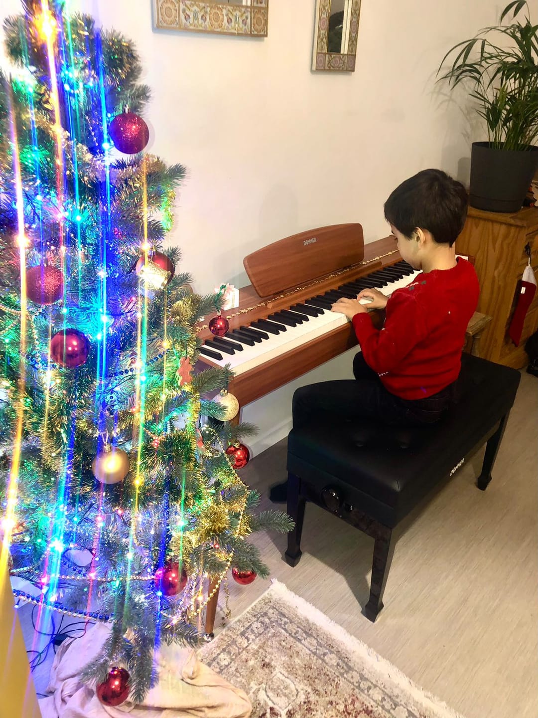 Customer photo review of Donner DDP-80 Motif de Bois Piano Numérique