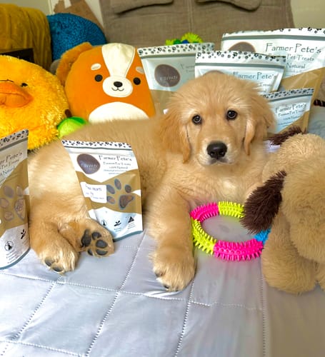 Customer photo review of Chicken Hearts