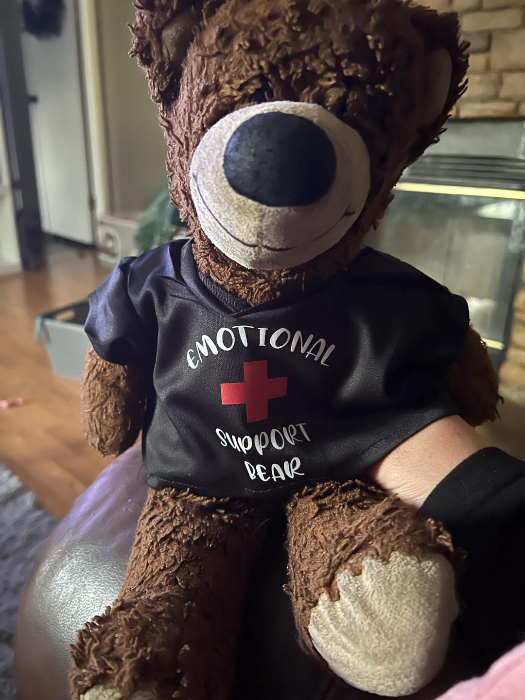 Customer photo review of EMOTIONAL SUPPORT Bear T-Shirt | Fits BAB & 14 to 16 Inch Stuffed Animals | Teddy Bear Outfit | Plushie Clothing